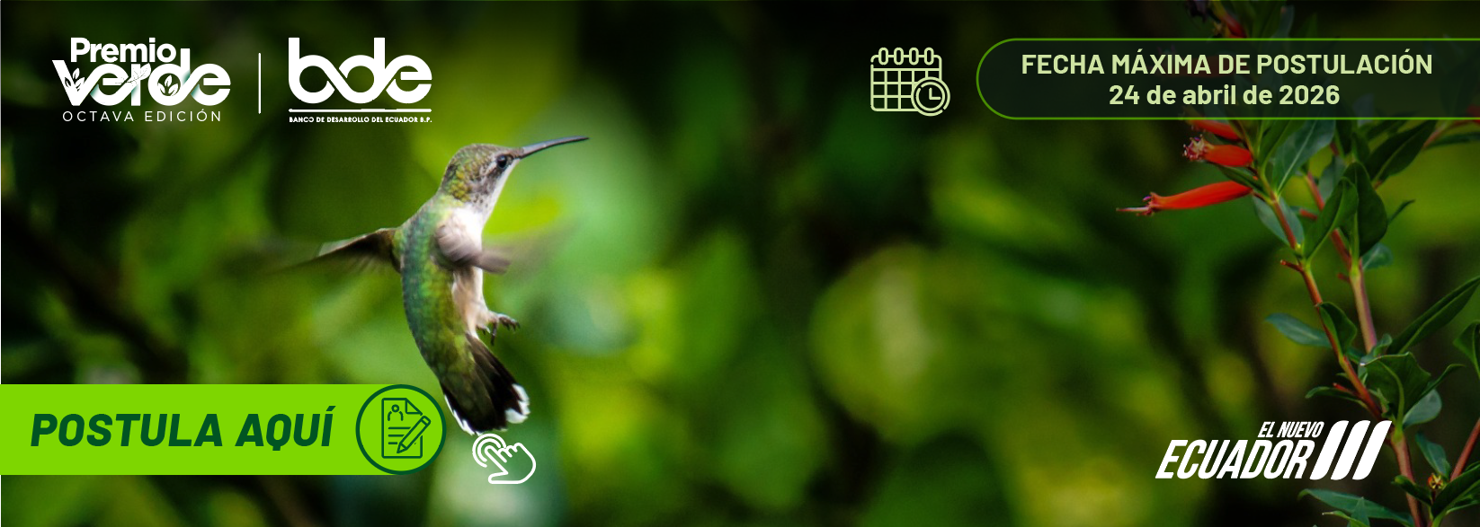 Captura de pantalla 2026-02-23 180142